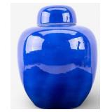 Chinese Powder Blue Porcelain Ginger Jar