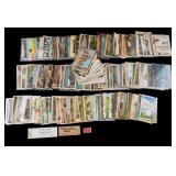 Vintage Postcards & Photographs