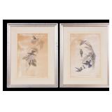 Early Hummingbird Hand Colored Lithographs