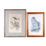 Framed Bird Prints (2)