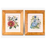 19th C J. Loudon Botanical Color Lithographs