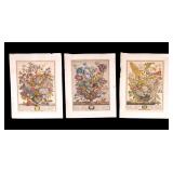 Hand-Colored Botanical Engravings (3)