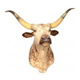 Taxidermy Longhorn Head Mount