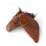 Taxidermy Horse Head Mount with Tack