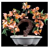 Celadon and Jade Tree in Planter