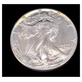 2017 American Silver Eagle Bullion Coin