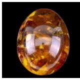 Pressed Reconstituted Amber Egg