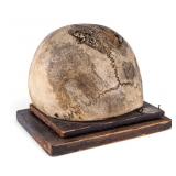 19th C Medical Cranium Specimen