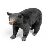 Full-Body Black Bear Taxidermy Mount