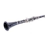 Bundy Resonite Clarinet in Green Hard Case