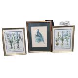 Botanical (2) + 1 Bird Prints, Framed