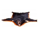 Black Bear Taxidermy Rug Mount ~6" L