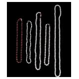 Pearl Jewelry Collection
