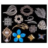 Costume Brooches 12+