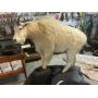 Estate auction 