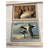 (2) Migratory Birds Hunting and Conservation