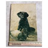 Dog and duck sign