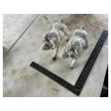 2 vintage ceramic horses