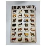 Breeds of Sheep sign