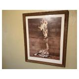 Giraffe picture