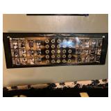 The Steelers 2005 Official Medallion Collection