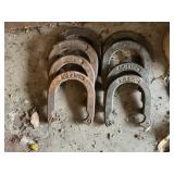 Big Buck  horse shoes