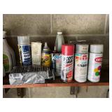 Misc. paint and liquids lot