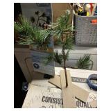 Charlie Brownsï¿½ Christmas tree untested