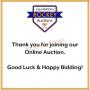 785N  TOOL & BATTERY AUCTION ~ NORRY ~