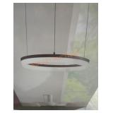 LED Pendant Light