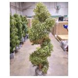 Artificial 38" Spital Topiary