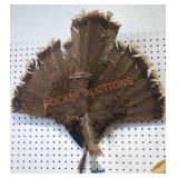 Turkey Tail Mount Taxidermy
