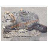 Fox Mount