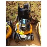 DeWalt Gas RWD Lawn Mower