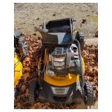 DeWalt Gas RWD Lawn Mower
