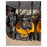DeWalt Gas 21" Lawn Mower