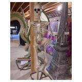 Sold As Is Where Is, No Guarantees No Returns,