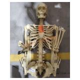 Sold As Is Where Is No Guarantees No Returns.