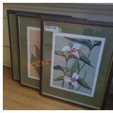 Floral Art Prints - Qty 3