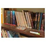 Books Shelf Lot
