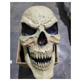Giant Skelly Head