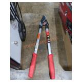 Corona Branch Looper