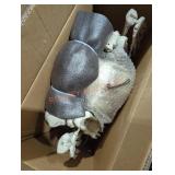 60" life sized skeleton