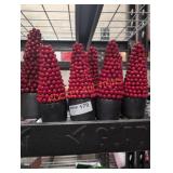 Unopened by Rockey Team, may be missing pieces or