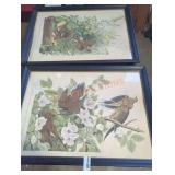 Meadow lark and Carolina turtle dove painting