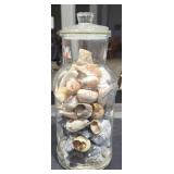 Seashells and glass jar lot