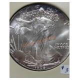 American Eagle Silver Dollars
