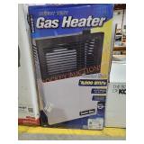 Direct Vent Indoor Gas Heater
