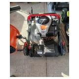 Murray 22" Push Mower