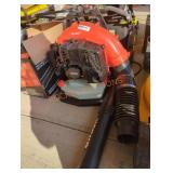 Echo Gas Backpack Blower